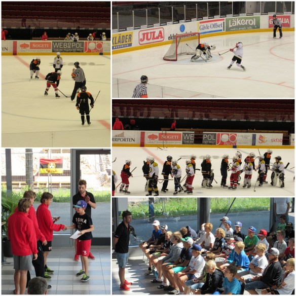 Brynäs Sommarhockeyskola