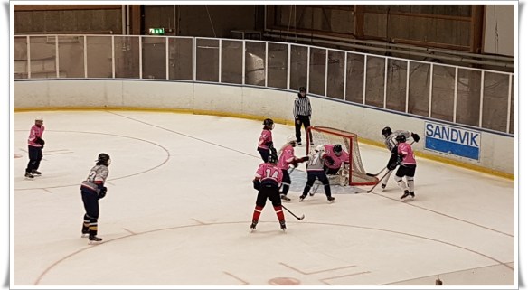 Hockeykarneval Rosa