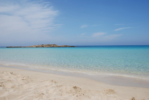 fig tree bay