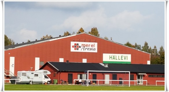 merelarena