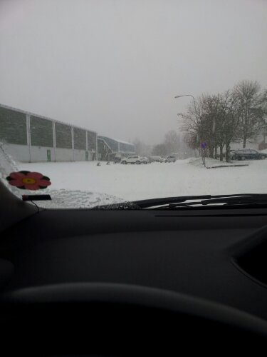 20121029_095634.jpg image